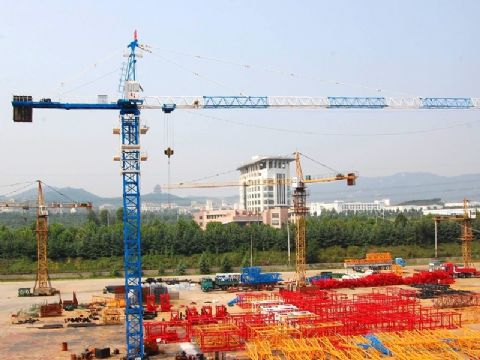 China Professional Manufacture Tower Crane Qtz50 (Tc5008) 